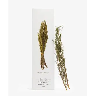 LA BELLE EXCUSE ROMARIN SÉCHÉE SUR TIGE