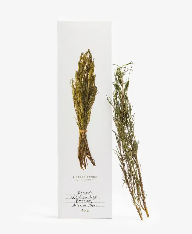 LA BELLE EXCUSE ROMARIN SÉCHÉE SUR TIGE
