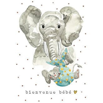 STÉPHANIE RENIÈRE MINI CARTE DE SOUHAITS -  ELIAS 1M