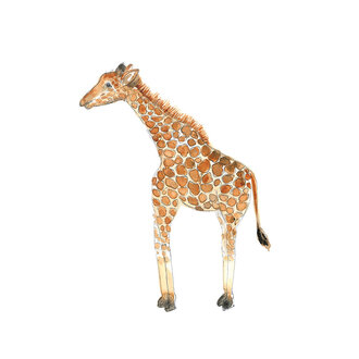 STÉPHANIE RENIÈRE CARTE DE SOUHAITS - FABY