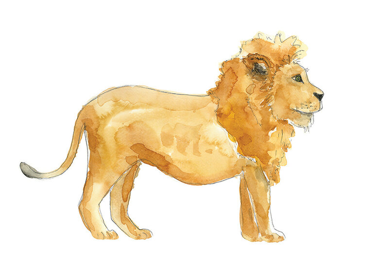 STÉPHANIE RENIÈRE CARTE DE SOUHAITS - LÉONCE