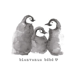 STÉPHANIE RENIÈRE STÉPHANIE RENIÈRE - CARTE DE SOUHAITS - MARIUS 01