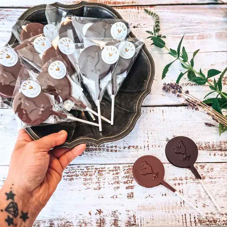 FAYS TERROIR CHOCOLATÉ SUÇON EN CHOCOLAT - LAIT