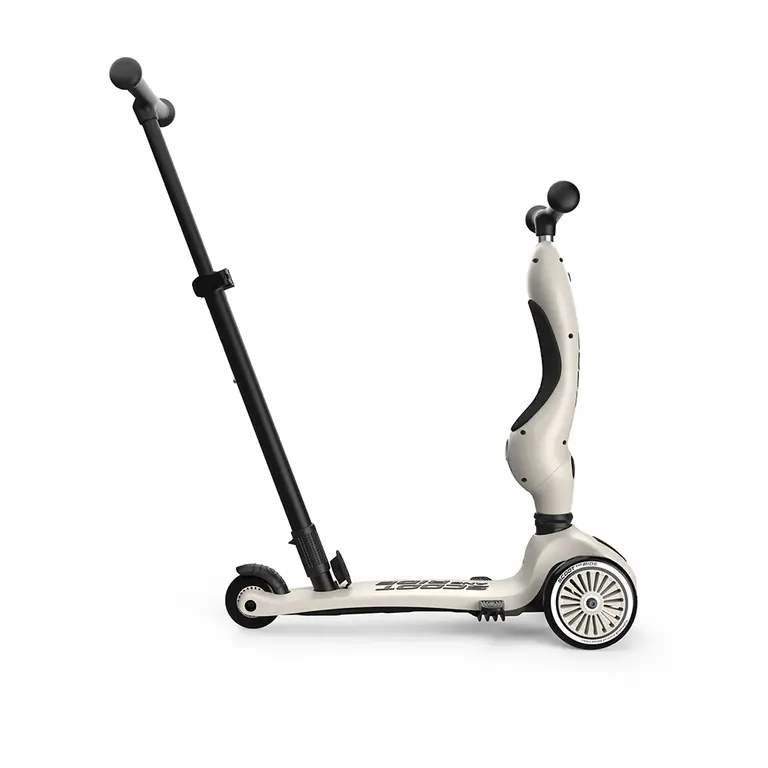 SCOOT AND RIDE TROTTINETTE HIGHWAYKICK 1 PUSH & GO - ASH