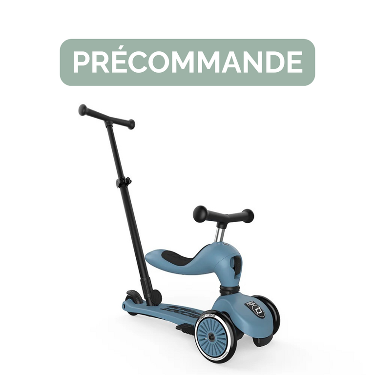 SCOOT AND RIDE TROTTINETTE HIGHWAYKICK 1 PUSH & GO - ACIER