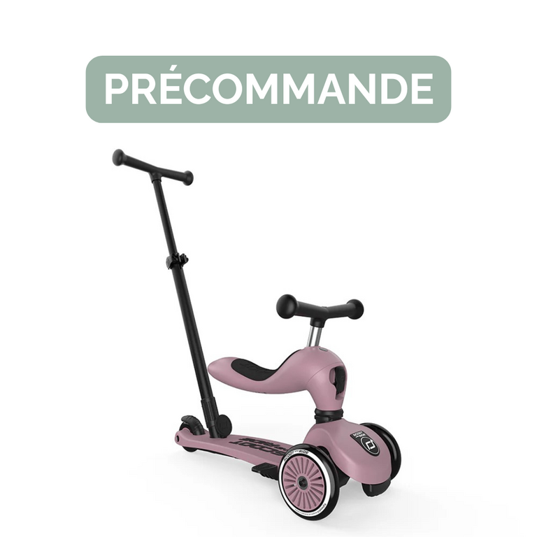 SCOOT AND RIDE TROTTINETTE HIGHWAYKICK 1 PUSH & GO - WILDBERRY