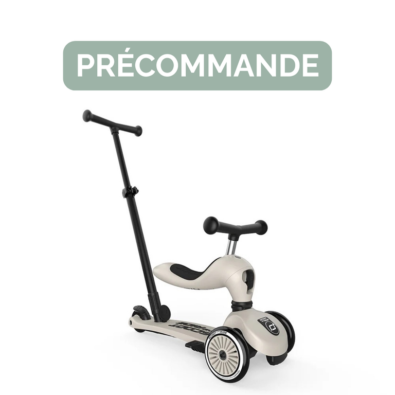 SCOOT AND RIDE TROTTINETTE HIGHWAYKICK 1 PUSH & GO - ASH