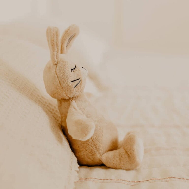 MOKA PELUCHE - LATTÉ TOUTOU MUSICAL