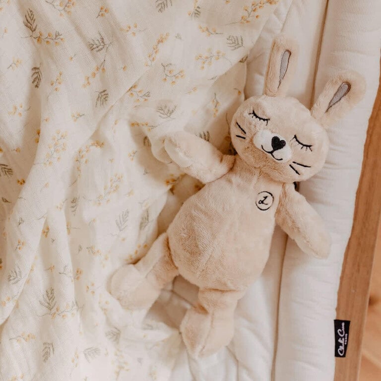 MOKA PELUCHE - LATTÉ TOUTOU MUSICAL