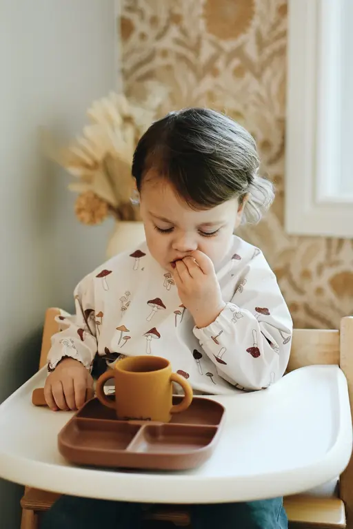 MINIKA MINIKA - BAVETTE À MANCHES LONGUES - CHAMPIGNONS X SOLANGE PILOTE