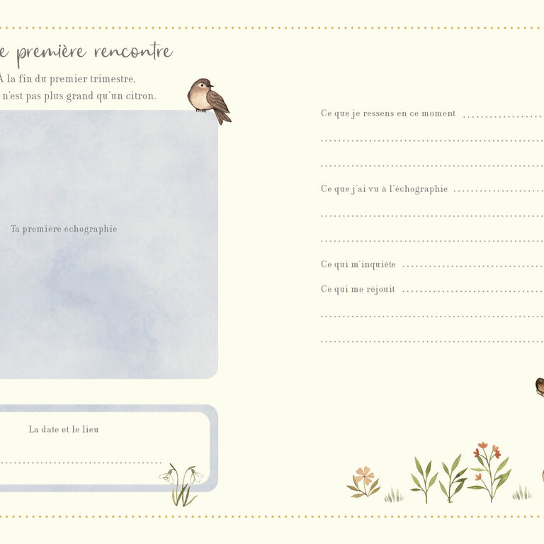 1,2,3 SOLEIL! LIVRE - MON JOURNAL DE GROSSESSE