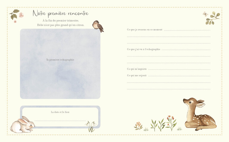 1,2,3 SOLEIL! LIVRE - MON JOURNAL DE GROSSESSE