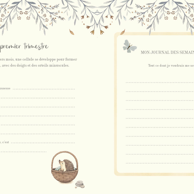 1,2,3 SOLEIL! LIVRE - MON JOURNAL DE GROSSESSE