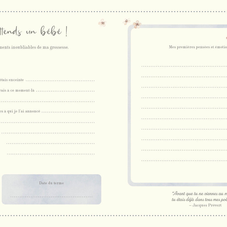 1,2,3 SOLEIL! LIVRE - MON JOURNAL DE GROSSESSE