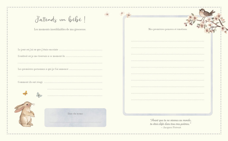 1,2,3 SOLEIL! LIVRE - MON JOURNAL DE GROSSESSE