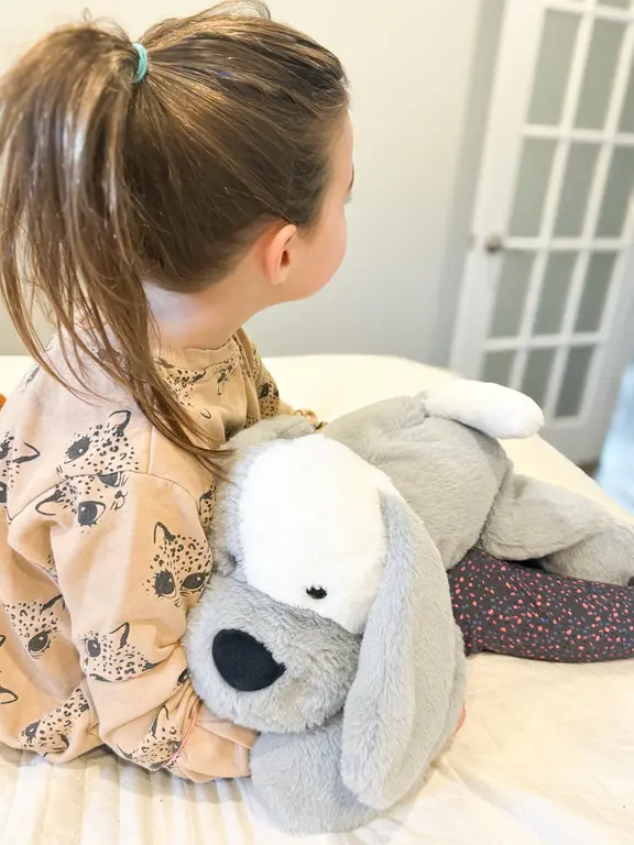 LES JEUX TOY BOX PELUCHE LESTÉE - MILO LE CHIEN