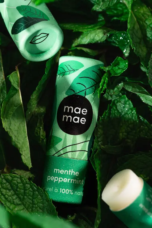 BAUME À LÈVRES NATUREL - MENTHE