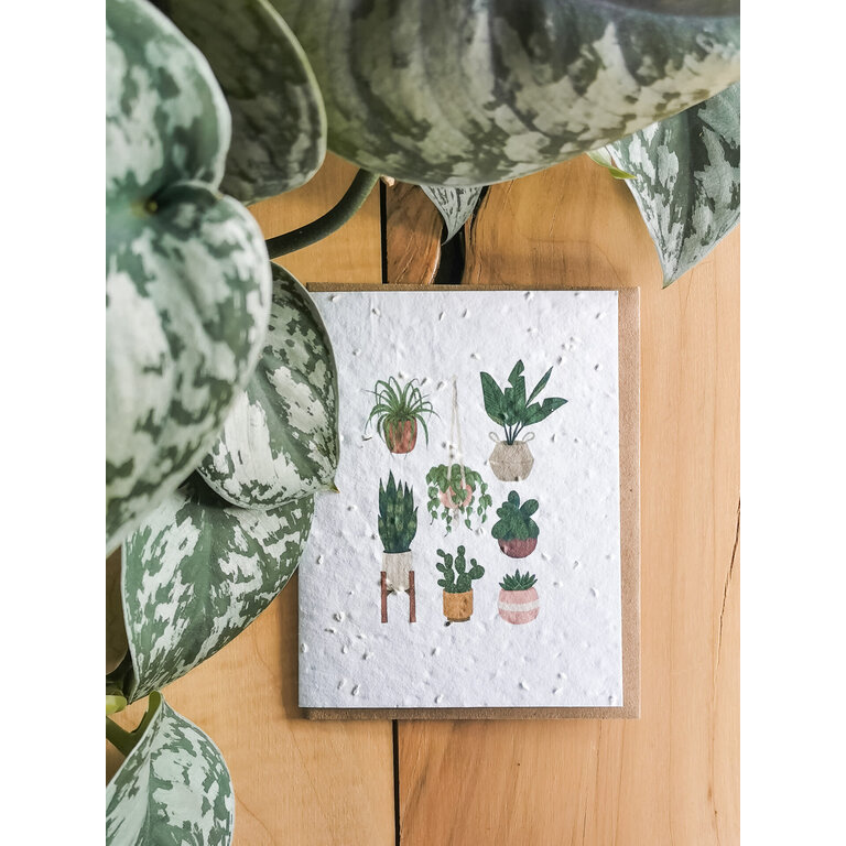 MIMOSA DESIGN CARTE DE SOUHAITS À PLANTER - POUCE VERT