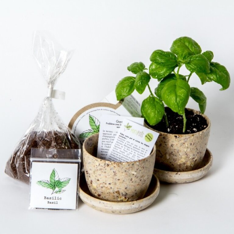 MANO VERDE MANO VERDE - MINIPOTS DE SEMENCES - LAVANDE