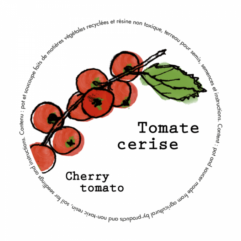 MANO VERDE MINIPOTS DE SEMENCES - TOMATES CERISES