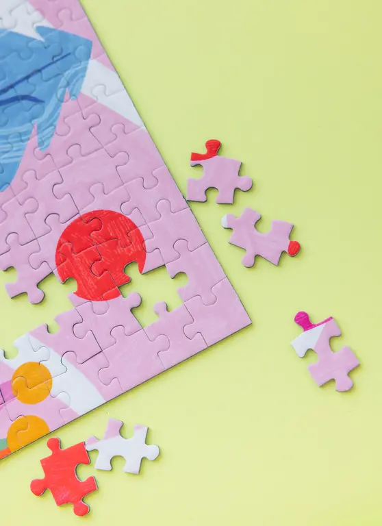 HOLIYAY PUZZLE 500 PCS - MYCOLOGIE FANTAISISTE