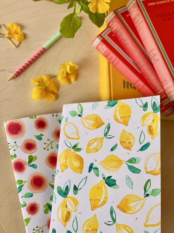 STÉPHANIE RENIÈRE STÉPHANIE RENIÈRE - DUO CARNETS DE NOTES - CLOTHILDE