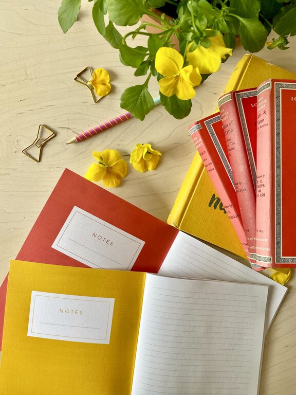 STÉPHANIE RENIÈRE STÉPHANIE RENIÈRE - DUO CARNETS DE NOTES - CLOTHILDE