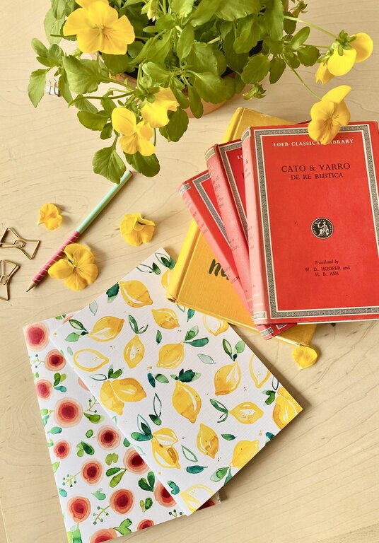 STÉPHANIE RENIÈRE STÉPHANIE RENIÈRE - DUO CARNETS DE NOTES - CLOTHILDE
