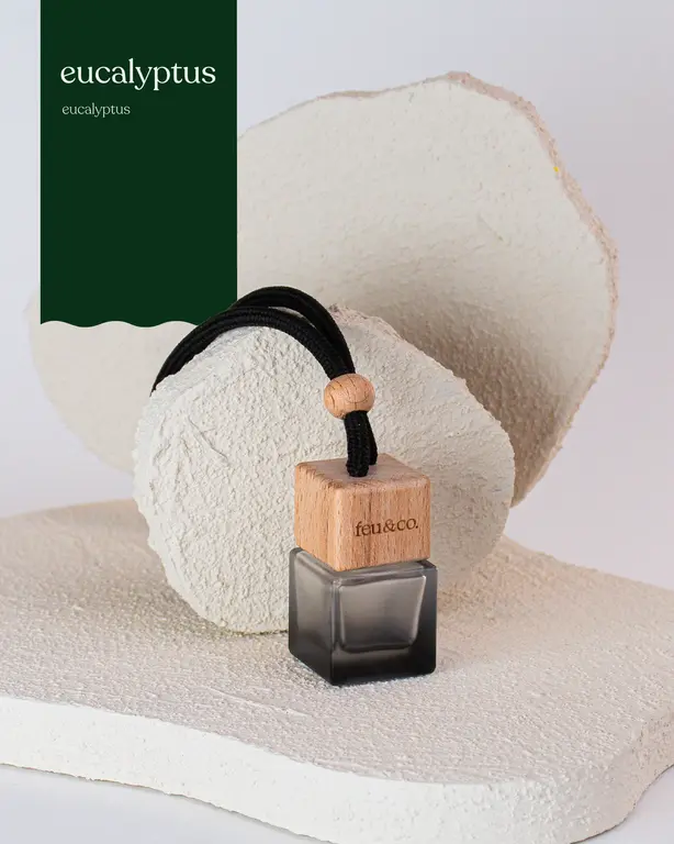 FEU & CO. DIFFUSEUR POUR LA VOITURE - EUCALYPTUS