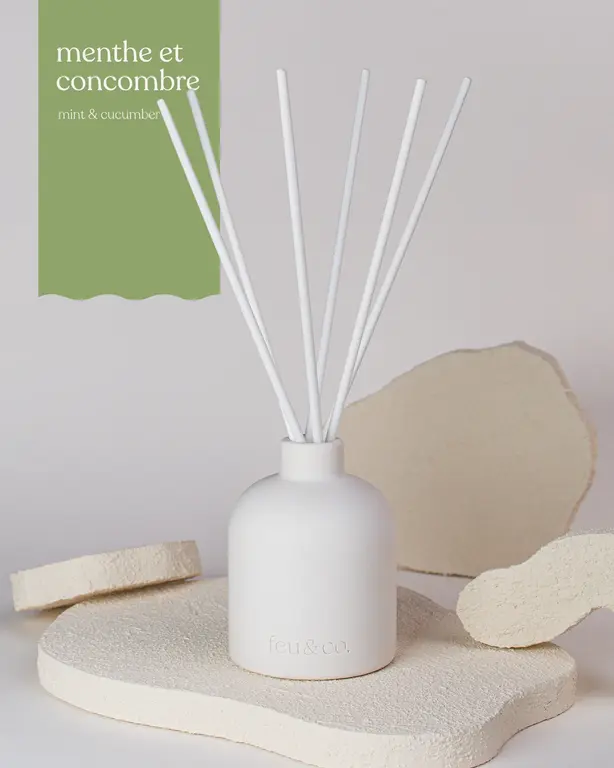 FEU & CO. DIFFUSEUR À ROSEAUX - MENTHE ET CONCOMBRE