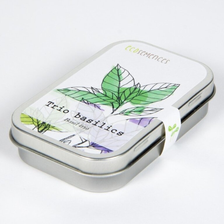 MANO VERDE  MINI BOÎTE EN MÉTAL ÉCOSEMENCES - TRIO DE BASILICS