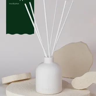 FEU & CO. DIFFUSEUR À ROSEAUX - EUCALYPTUS