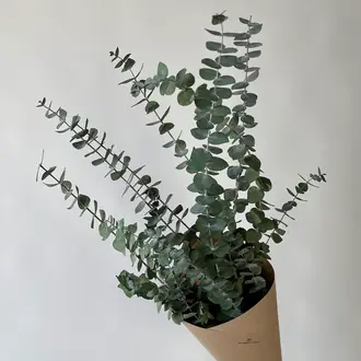LE GARDE-FLEURS BOUQUET D'EUCALYPTUS