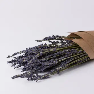 LE GARDE-FLEURS BOUQUET DE LAVANDE