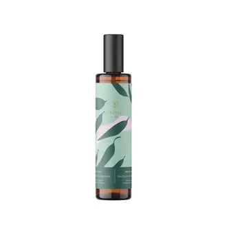 BALTIC CLUB BRUINE D'AMBIANCE - EUCALYPTUS ET PAMPLEMOUSSE