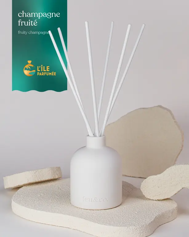 FEU & CO. DIFFUSEUR À ROSEAUX - CHAMPAGNE FRUITÉ