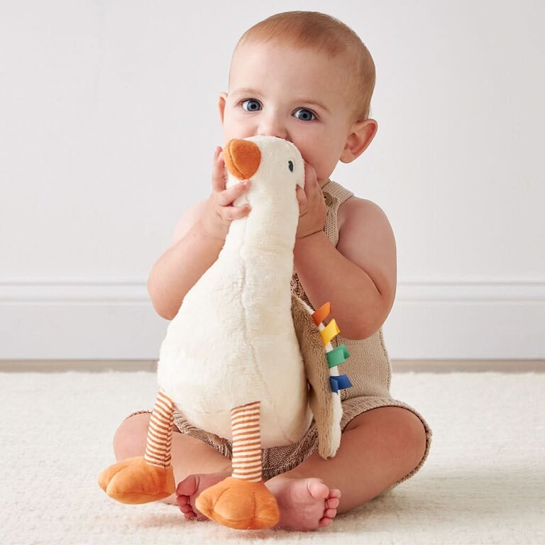 ITZY RITZY PELUCHE SWEETIE SNUGGLES - OIE