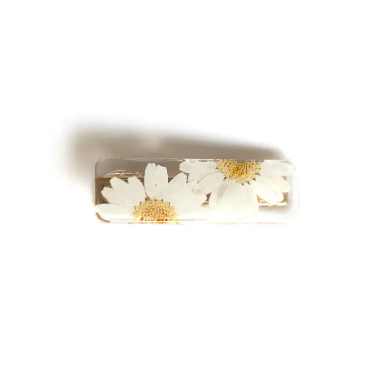 GIBOU STRAIGHT CLIP WITH DRIED FLOWERS - DAISY