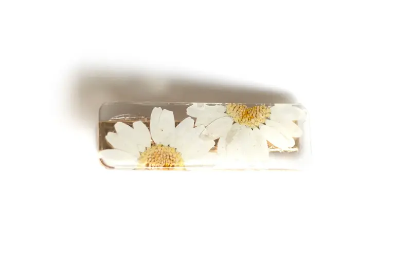 GIBOU BARRETTE DROITE AVEC FLEURS SÉCHÉES - MARGUERITE