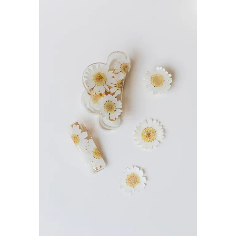 GIBOU STRAIGHT CLIP WITH DRIED FLOWERS - DAISY