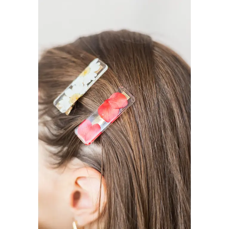 GIBOU STRAIGHT CLIP WITH DRIED FLOWERS - DAISY