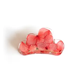 GIBOU PINCE À CHEVEUX NUAGE AVEC FLEURS SÉCHÉES - FLEUR ROUGE