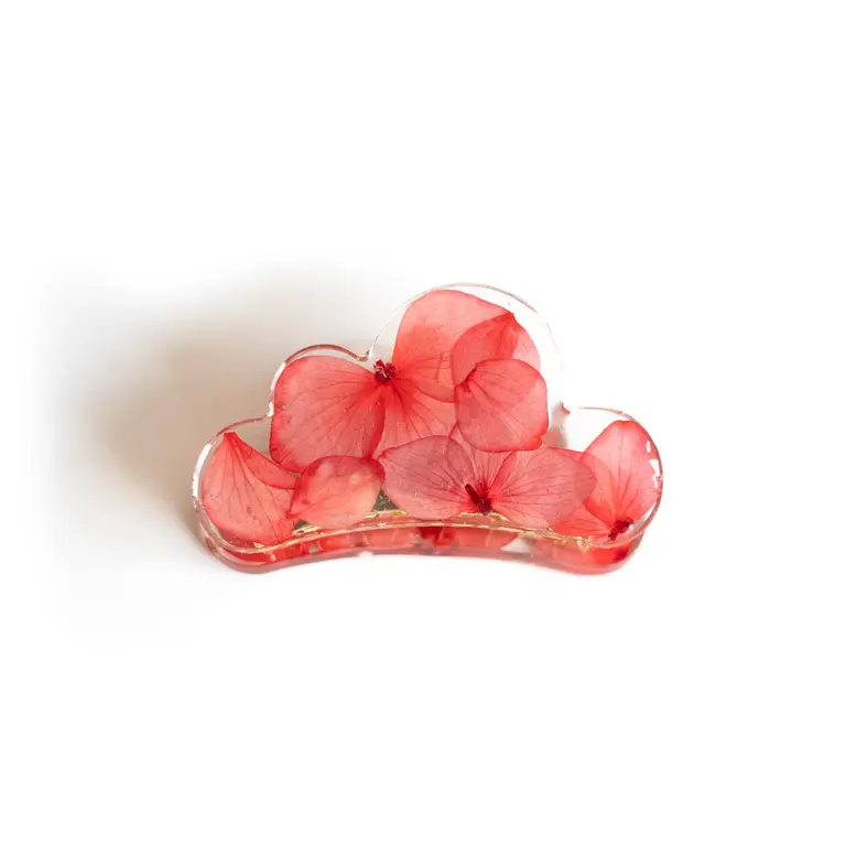 GIBOU PINCE À CHEVEUX NUAGE AVEC FLEURS SÉCHÉES - FLEUR ROUGE