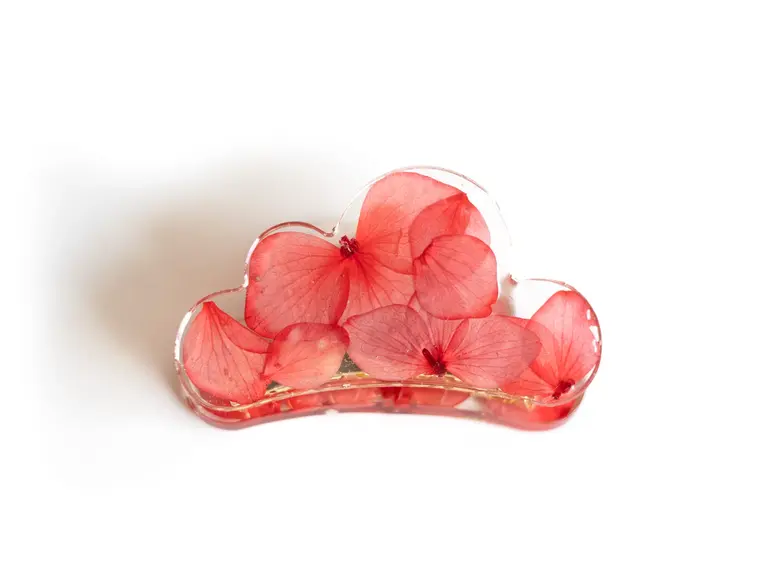 GIBOU PINCE À CHEVEUX NUAGE AVEC FLEURS SÉCHÉES - FLEUR ROUGE