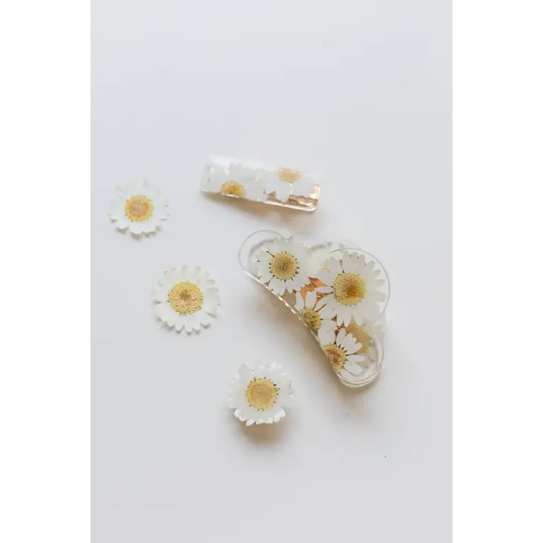 GIBOU PINCE À CHEVEUX NUAGE AVEC FLEURS SÉCHÉES - MARGUERITE