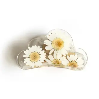 GIBOU PINCE À CHEVEUX NUAGE AVEC FLEURS SÉCHÉES - MARGUERITE