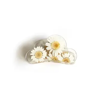 GIBOU PINCE À CHEVEUX NUAGE AVEC FLEURS SÉCHÉES - MARGUERITE