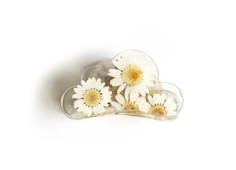 GIBOU PINCE À CHEVEUX NUAGE AVEC FLEURS SÉCHÉES - MARGUERITE