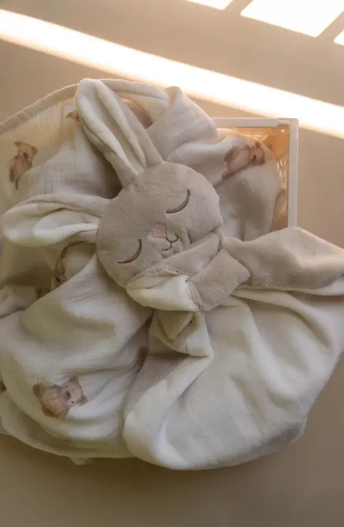 VEILLE SUR TOI DOUDOU LAPIN MARCEL ENDORMI - AVOINE
