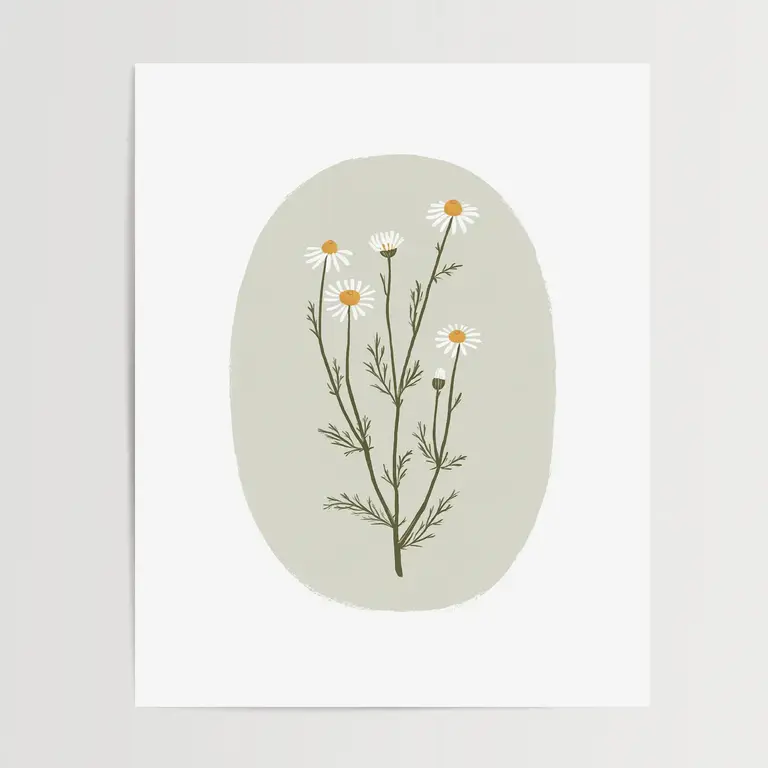 PAPIER FLEURI CO. AFFICHE 8 X 10 - CAMOMILLE SAUVAGE
